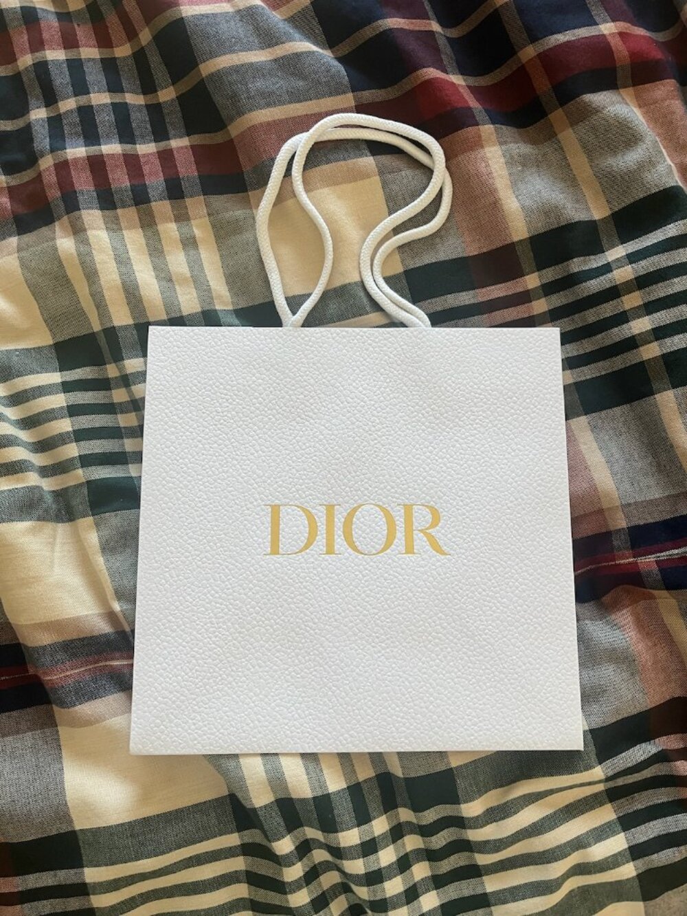 DIOR White Gold Pebble Square Paper Gift Shopping Bag EMPTY